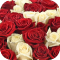 media/assets/bouquet_colors/white_and_red.png