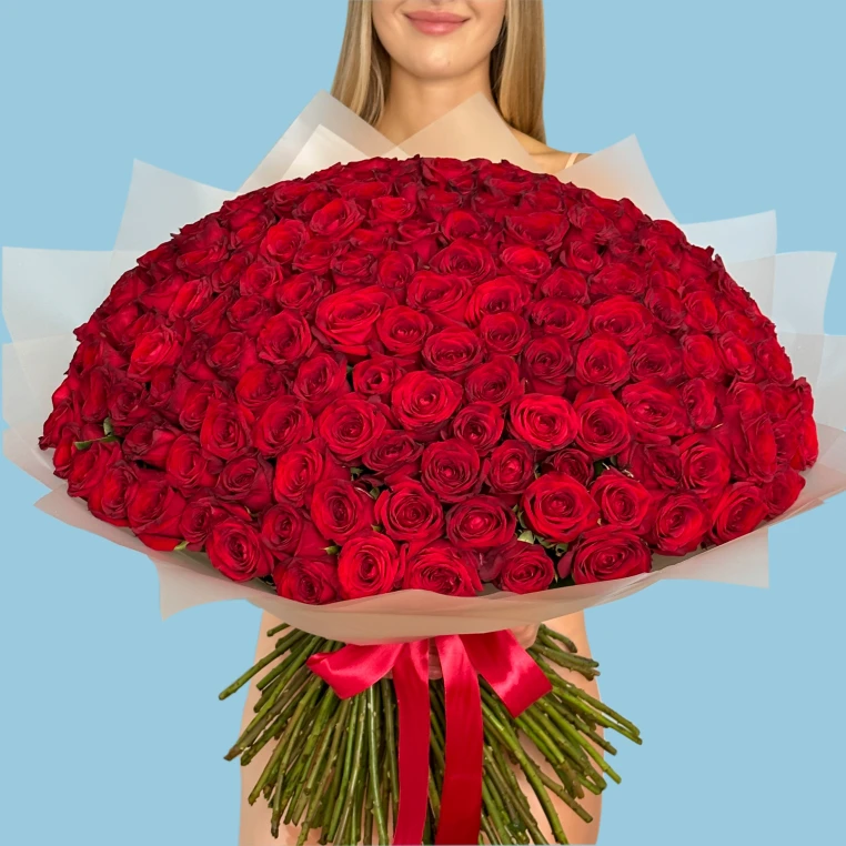 200 Red Roses image